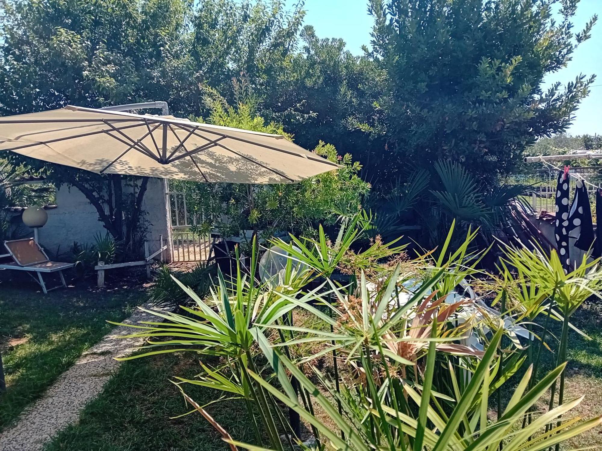 Sogno Vacanze Διαμέρισμα Μάσσα Εξωτερικό φωτογραφία
